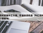 实时掌握外汇行情，把握投资机遇（外汇实时行情查询）