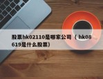 股票hk02110是哪家公司（ hk08619是什么股票）